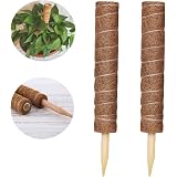 2 Pali Totem In Fibra Di Cocco Per Piante Rampicanti, 30 Cm, Estensibili, Supporto Per Monstera E Rampicanti - 3
