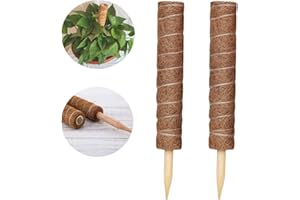 LINSOCLE 2 Pièces Tuteur Plante,Tuteur Coco, Poteau De Coco, Bâton De Coco pour La Maison Jardin Plante Grimpantes Extension De Support De Plante