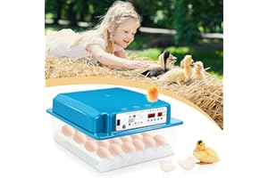 Randaco Incubateur entièrement automatique pour poules - Capacité de 36 œufs - Avec écran LED - Contrôle de la température - Système de rotation automatique - Éclairage LED