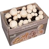 Hawlik Pilzbrut - Champignons - kit coltivazione funghi, misura grande, colore: bianco, funghi coltivazione