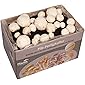 weiße Champignons Pilzzuchtset groß - Hawlik Pilzbrut - Pilze zum selber züchten - frische Champignon Pilze ernten