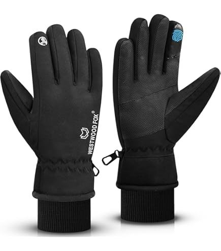 Skihandschoenen voor dames, waterdicht, winterhandschoenen voor dames