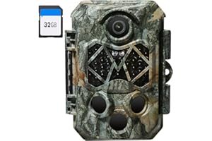 Wildkamera, Assark 4K 32MP Jagdkamera mit 32GB SD Karte, 940nm No Glow IR LEDs mit Nachtsicht Bewegungsaktivierung IP66 wasserdichte Spielkamera für Gartenkamera Falle und Outdoor Wildlife Scouting
