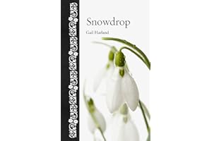 Snowdrop (Botanical)