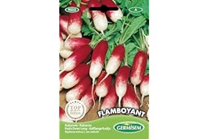 Germisem Flamboyant Semillas de Rábano 12 g