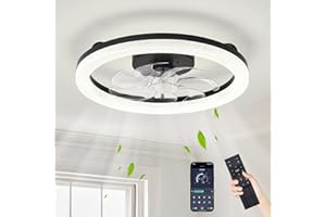 IZOWE Ventilador de Techo con Luz 52CM Sobredimensionado Ventiladores de Techo Cristal Regulable LED Ventilador Techo 6 Velocidades Reversible Lampara Ventilador Techo Temporizador Luz