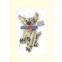 Bothy Threads Kreuzstich Set Special Delivery - Stickpackung Mit Wrendale Design