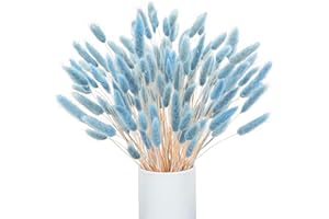 Barlone 120 Stück Pampasgras Klein, Hasenschwanzgras Getrocknet Pampasgras Deko, Pampas Gras Trockenblumen Blau, Trockenblumen Klein Pampas Gras für Deko Wohnzimmer Hochzeit Tischdeko