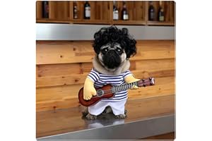 DELIFUR Costume de Guitare pour Animaux de Compagnie Costumes de Chien Halloween noël Cosplay fête Tenue drôle vêtements(M)