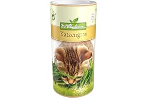 Premium Katzengras Samen Chrestensen, Grassamen schnellkeimend, 1 Dose 110 g, reicht für ca. 4-5 m² Katzengras fertig gewachsen, Natürliche Katzen Leckerlies zu Hause