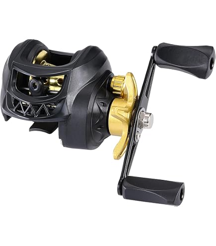 Shimano 8000HG Stradic SW 20 Spinning Reel : Amazon.in: Sports