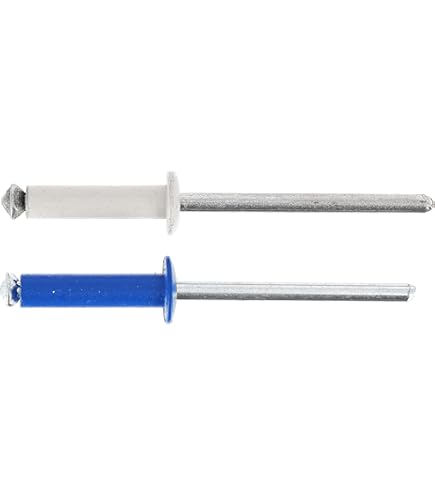 50 Rivetti A Fiore GRAF Per Targhe Auto - Alluminio/Acciaio, Bianco O Blu - &Oslash;4,8x12mm