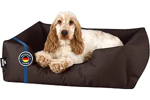 BedDog Cama para Perros S - Colchoneta para Perros Pequeños - Colchón Grande en Terciopelo de Microfibra y Cordura