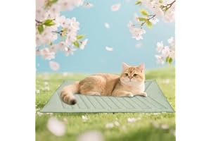 UIQELYS Kühlmatte für Hunde Eisgrün,91x58cm ohne Gel Kühlkissen für Hund, Oberseite aus kühlem Stoff und Rückseite aus Samt, waschbar, Sommerlinderung für Welpen und Kätzchen (Eisgrün, A)