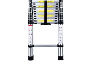 NINEACCY Telescopic Ladder 3.2M Multi-Purpose Folding Aluminium Telescoping Ladder Extendable Portable Loft Ladder Foldable Ladder with EN131 and CE Standard (10.5FT/3.2M)