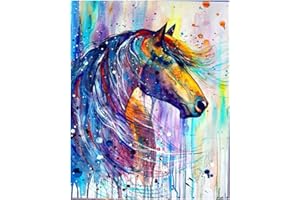 DCIDBEI (40 x 50 cm) DIY Square Diamond Painting Full Drill Pittura con Diamanti Quadrati Fai Da Te Mosaico Perline con Strass Quadrati Cavallo Ricamo a Punto Croce Artistica per Casa
