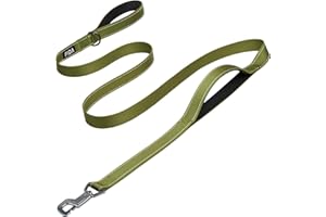 Fida Wytrzymałe smycze dla średnich i dużych psów, uchwyt drogowy 1,8 m i zaawansowany haczyk dla większej kontroli, odblaskowa smycz dla psa do codziennego chodzenia i treningu (zielona)