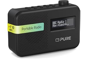 Pure Elan One2 Radio Portatile DAB+/FM con Bluetooth 5.1 (display LCD, 10 tasti di memoria, alimentazione a batteria con 4xAA possibile) Nero Carbone