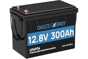 Oasesenergy Batterie Lithium 12V 300Ah Mini, Batterie LiFePO4 Rechargeable BMS 200A Intégré, 4000~15000 Cycles, Batterie pour Caravanes, Bateau, Camping-car, Système solaire, Hors-Réseau,ect.