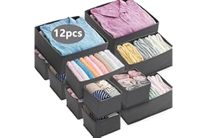 Dazhtu 12 Pezzi Organizer Armadio Scatola, Organizer Armadio Salvaspazio, Pieghevole Divisori per Organizer Cassetti, Organizer Cassetti Armadio per Calze,Biancherie,Reggiseni,Cravatte (Grigio)