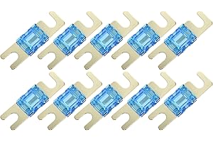 A ABSOPRO 10pz Fusibili Auto AFS ANL Fusibile per Auto Camion Moto Barca Audio CD Blu, Tono Oro 100A