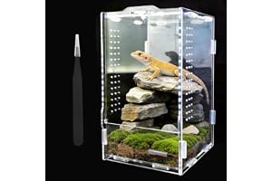 ZHITENG 360° terrarium för akrylsniglar, 20 x 12 x 12 cm, akrylterrarium, pincett, termometer, transparent vivarium, ventilerande reptilskåp för ödla, tusentassar (B)