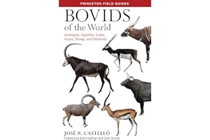 Bovids of the World: Antelopes, Gazelles, Cattle, Goats, Sheep, and Relatives: 104