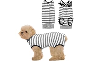 INSPUTOL Dog Recovery Suit After Surgery, Soft Leak Protection Bodysuit for Dogs, Protective Pet Suit (1Pc, XS)