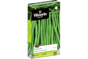 Vilmorin Haricot Talisman Boite 140g, Vert