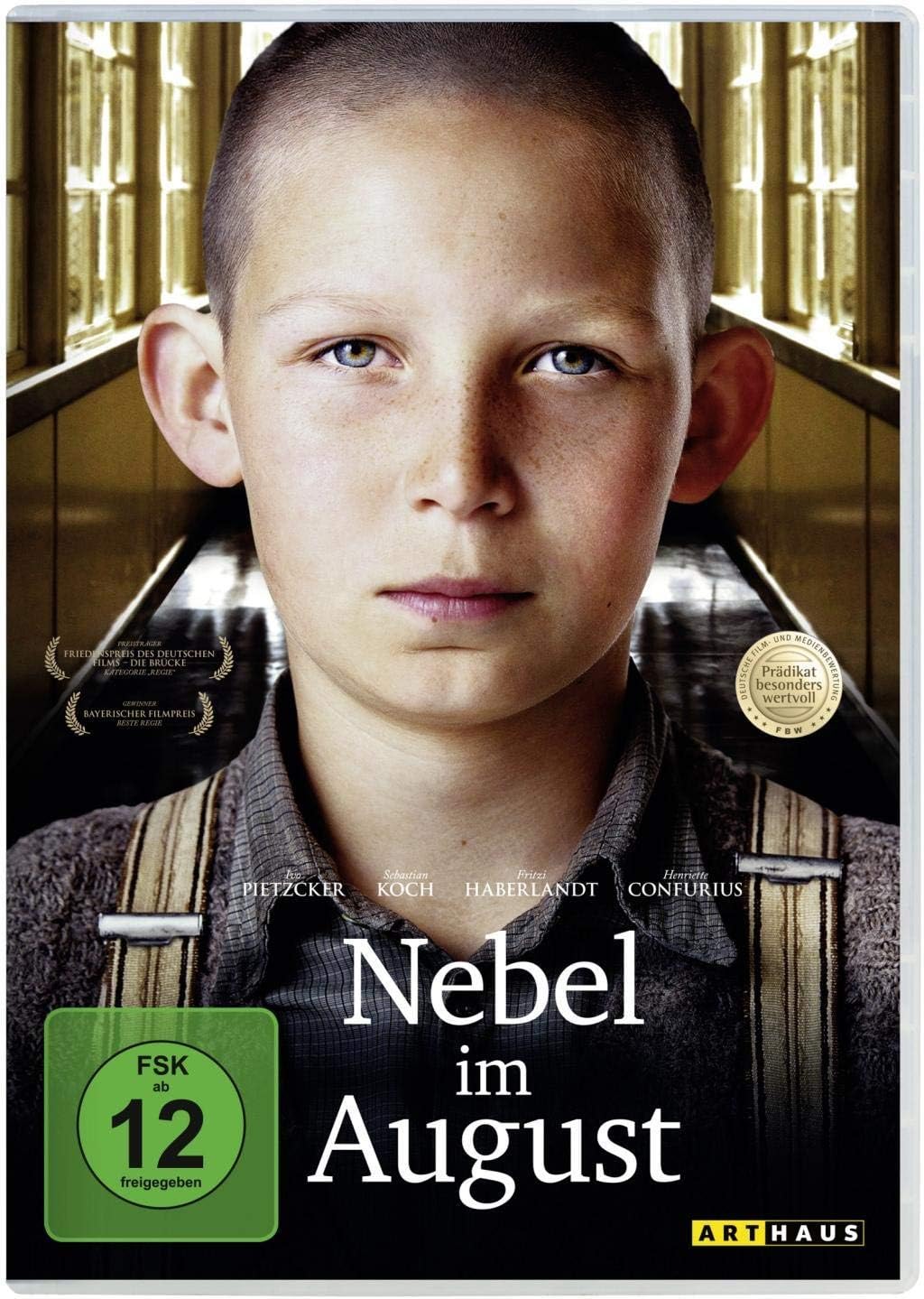 Vue 8