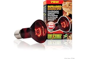 EXO TERRA Exoterra Éclairage pour Reptiles Lampe Infrared Basking Spot 75 W