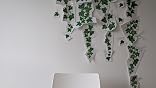 Adesivi Murali Soggiorno Duoyif Adesivi Murali Foglie Di Edera Verde Uva Adesivi Da Parete Vite Appesa Uva Pianta Verde Stickers Muro Per Cucina Camera Da Letto Bagno Soggiorno Ufficio Decorazione Parete (Viti - 4