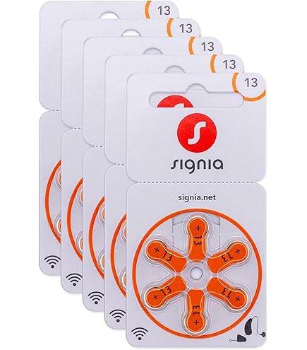 XX-Treme Longlife Hörgerätebatterien Typ 13 – 60 Stück (10x6er Blister), 1,45V, Orange, Quecksilberfrei