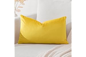 Artscope Housse de Coussin en Velours Décoratif Canapé Taie d'oreiller Super Doux Decoration Maison Salon Chambre pour Canapé 30x50cm Jaune Doré