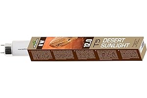 REPTILES-PLANET Reptiles Planet T5 UVB 12.0 Desert Sunlight Beleuchtung für Reptilien/Amphibien, 8 W, 29 cm, Durchmesser 16 mm