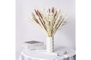 ANSHUKE Trockenblumen Deko, 60 Stück Natürliche Weiß Pampasgras Getrocknet Weiß, Dried Flowers Pflanzen Getrocknete Blumen Flauschige Wedel für Hochzeit Boho Deko Wohnzimmer Schlafzimmer Gartenhaus