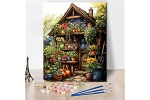 TISHIRON Malowanie według liczb dla dorosłych, dla początkujących, kreskówkowy dom z kwiatami w doniczkach, zestaw dla dorosłych, kolorowa tablica na płótnie, zestaw do samodzielnego malowania, do