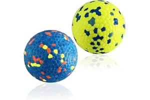 CAISHOW 2Pack Dog Ball Toys Indestructible Dog Ball Float On Water Fetch Bouncy Durable Solid Rubber Ball For Puppy Small And Medium Dogs Playing Toys (2Pcs-2.55'')