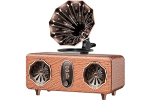 FREEFISH Retro Radio Bluetooth Speaker, Vintage FM Radio, Bluetooth Radio Vintage Decor Gifts for Men, 5W Speakers, Bluetooths 5.3, Support TF Card/AUX/USB, 1800mAh Battery (AS36)