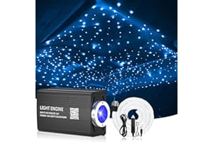 VASTFIRE Starlight Kit (500 Fibre Optic Strands) + Twinkle Stars Star Light Headliner Dodge Charger Star Headliner w/Sunroof Upgrade! #modfx #modfxcustoms #starheadliner #dodgecharger