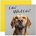 Funny Labrador Dog Birthday Card - 'What Cake' Guilty Dog Joke Card For Dog Lovers