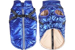 Dolahovy Chaqueta Impermeable para Perros Abrigo de Invierno para Mascotas Ropa Cálida para Perros con Arnés Ajustable para Gato Perros Pequeños Medianos y Grandes Al Aire Libre (M, Azul)