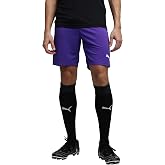 PUMA Erkek Teamrise antrenman şortu