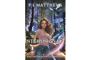 Sturmsignal: Eine Digitaldetektivin Mystery (Die Digitale Detektiv Mystery-Reihe, Band 4)