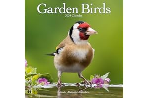 Garden Birds Calendar 2024 | Square Birds Wall Calendar - 16 Month