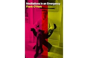 Meditations in an Emergency