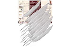 ‎FORUM TRAIANI Forum Traiani Feder zum Schreiben 10 Stk. Kalligraphie Schreibfeder, Federkiel zum Zuschneiden Kalligrafie Stift Gänsekiel, Federkiele Set, Schreibrohr Gänsefedern