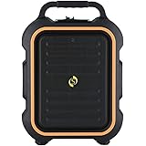 ahuja portable wa320 speaker cum amplifier with 1 cordless mic