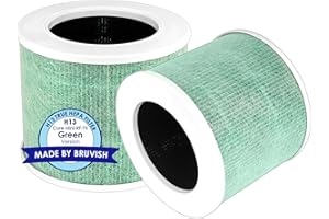 BRUVISH Confezione da 2 mini filtri di ricambio H13 True Hepa, filtro HEPA 3 in 1 a carbone attivo, pezzo # Core mini-RF-TX verde