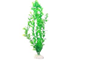 Movoja 2 pezzi – Pianta decorativa per acquario, per acqua dolce e salata, decorazione per piante acquatiche